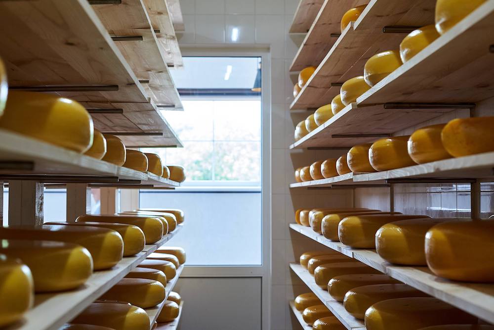 зберігання готової сирної продукції на виробництві