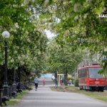 Громадський транспорт Дніпра 30 серпня: що змінилося