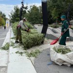 у Дніпрі комунальники прибирають і впорядковують вулицю Яворницького