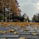 Оновлена інформація щодо подій у Кам’янському та області станом на ранок 28 жовтня