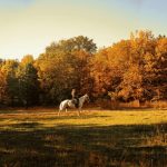 Де у Дніпрі знайти казкове місце для насолоди осінньою красою
