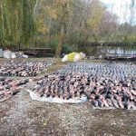 На Криворізькому районі браконьєри виловили сітками більше 6 тонн риби на суму 5,4 мільйона гривень