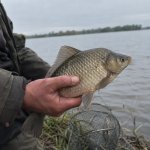 У Кам’янському зафіксували браконьєрство