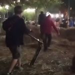 У Дніпрі зафіксували дітей, які руйнують фотозону в сквері Усачова