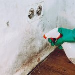 Методи видалення плісняви зі стін за допомогою оцту