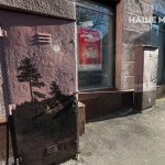 Жінка з Дніпра розмалювала два електричних щити