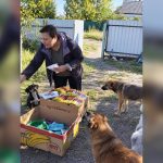 У Межовій російський безпілотник підпалив будинок волонтерки з тваринами