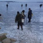 З 1 листопада починається заборона на лов водних ресурсів у зимувальних зонах