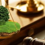 Суд примусив компанію сплатити майже мільйон гривень до бюджету Кам’янського за користування землею